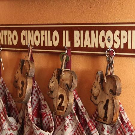 Vila Il Biancospino Casteggio Exteriér fotografie