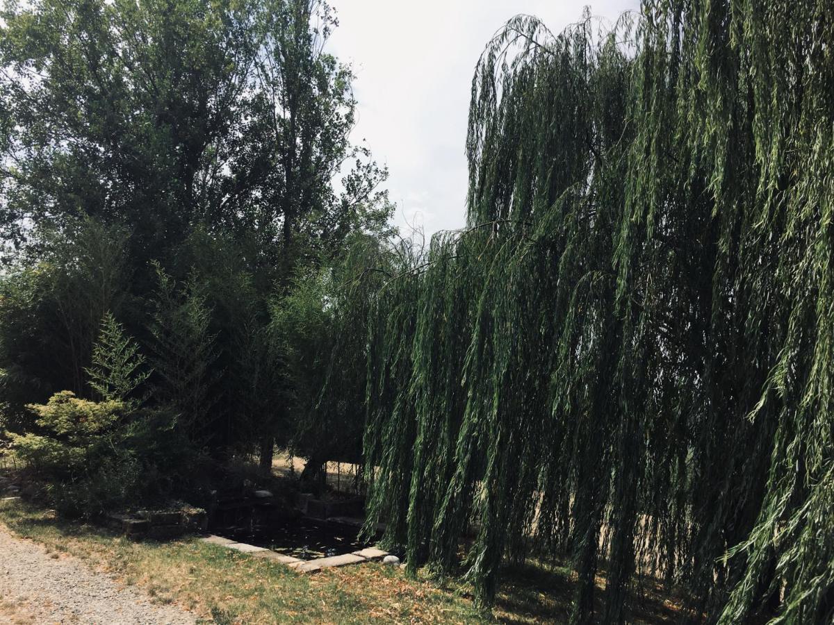 Vila Il Biancospino Casteggio Exteriér fotografie