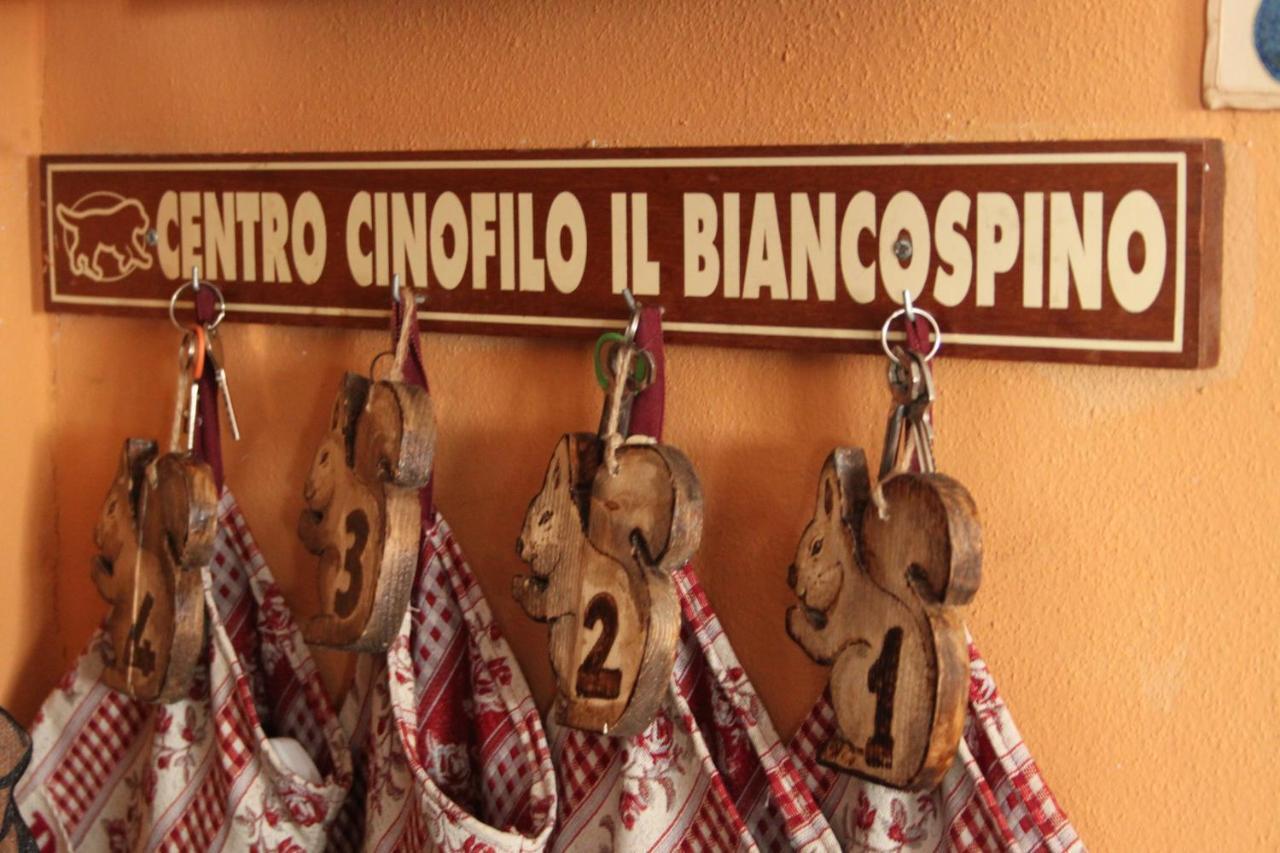 Vila Il Biancospino Casteggio Exteriér fotografie